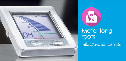 Meter long roots - Dental World Chiangmai